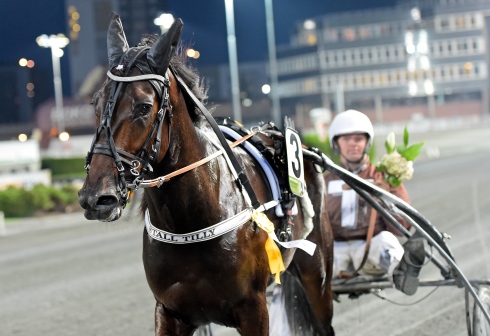 Usain Tilly segerdefilerar på Solvalla tillsammans med Mattias Djuse. Foto: Lars Jakobsson, TR Bild Foto av Lars Jakobsson, TR Bild